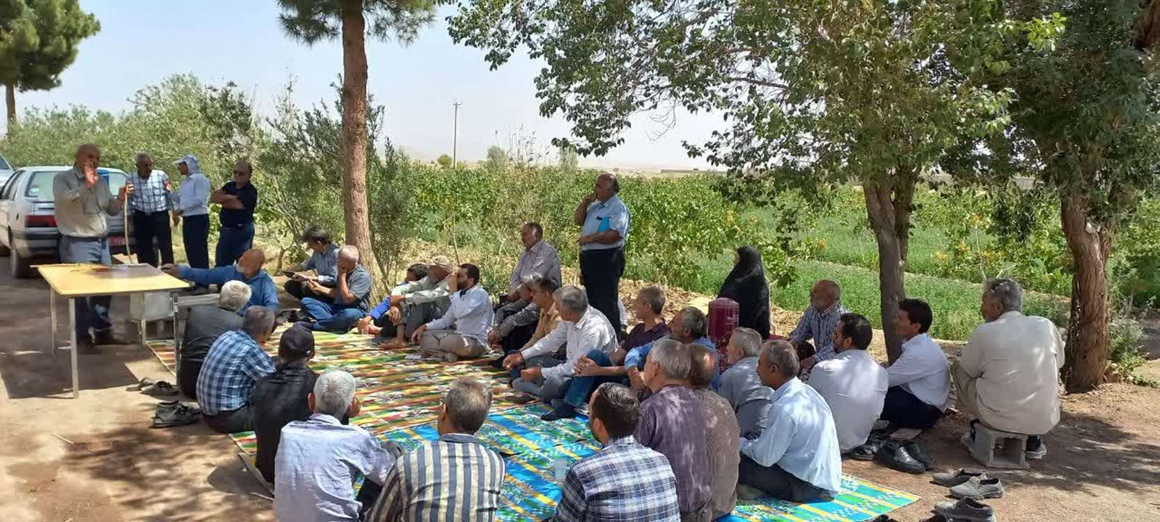 پیوند پسته3 
